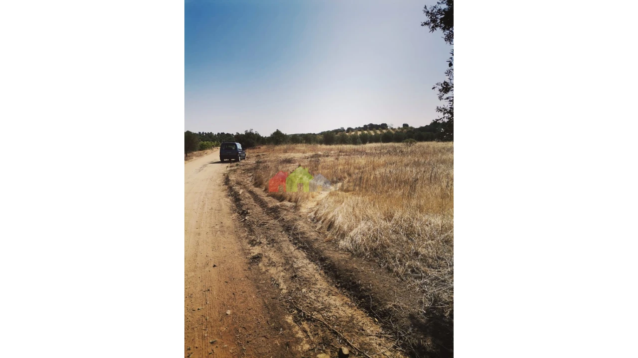 Terreno para Venda em Vila de Frades Foto 10