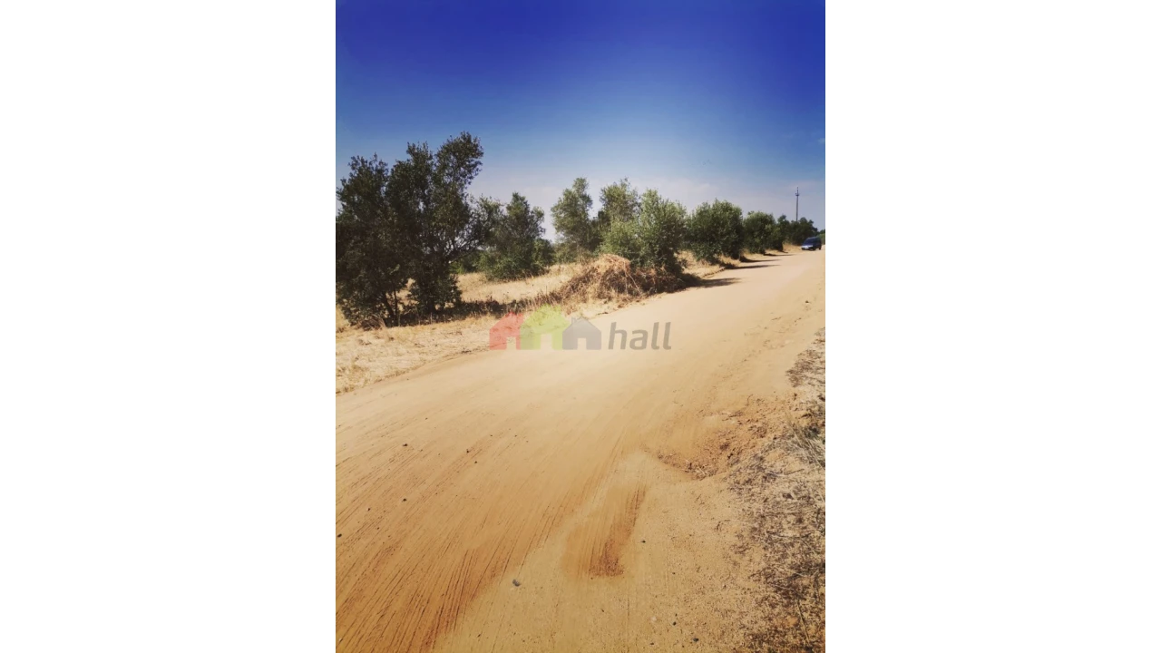 Terreno para Venda em Vila de Frades Foto 2