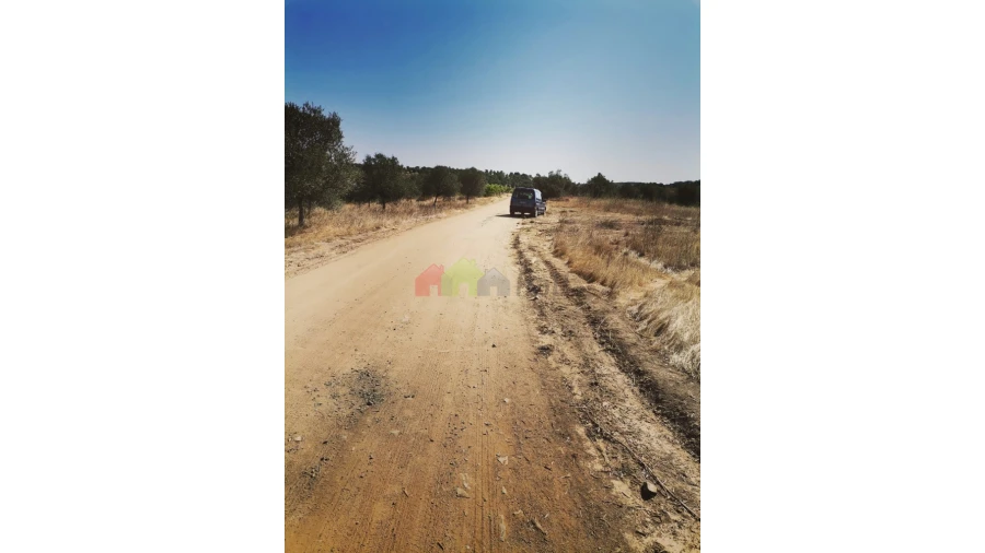 Terreno para Venda em Vila de Frades Foto 4