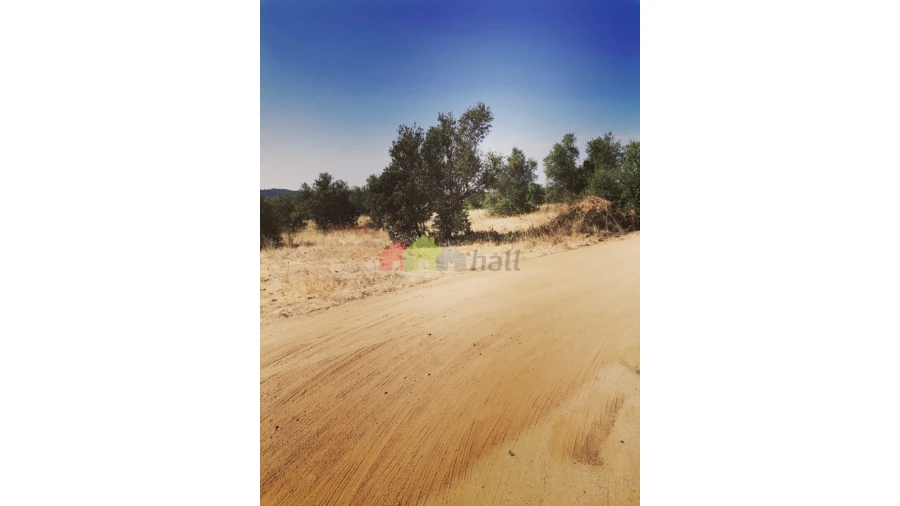 Terreno para Venda em Vila de Frades Foto 12