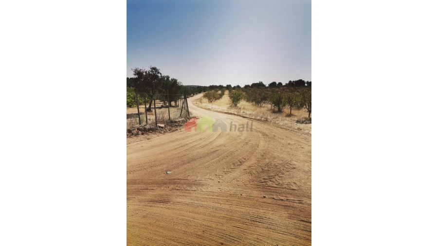 Terreno para Venda em Vila de Frades Foto 9