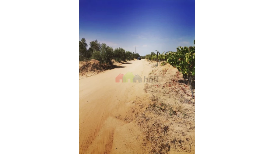 Terreno para Venda em Vila de Frades Foto 6