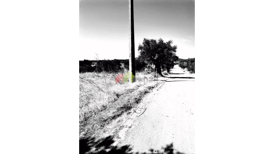 Terreno para Venda em Vila de Frades Foto 8