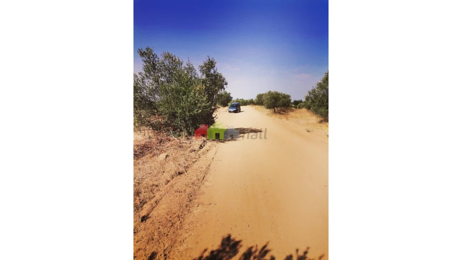 Terreno para Venda em Vila de Frades