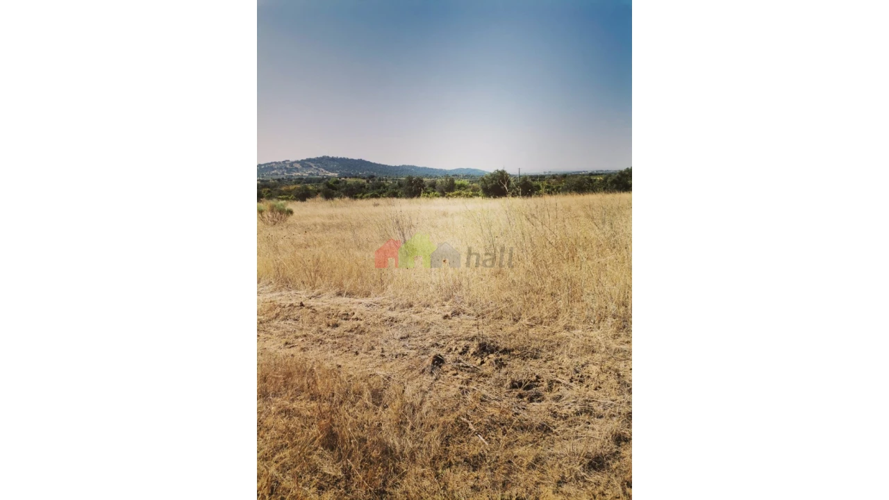 Terreno para Venda em Vila de Frades Foto 14