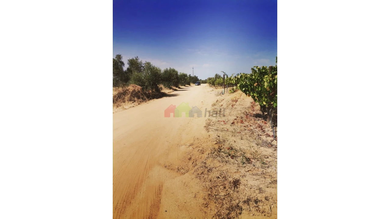 Terreno para Venda em Vila de Frades Foto 6