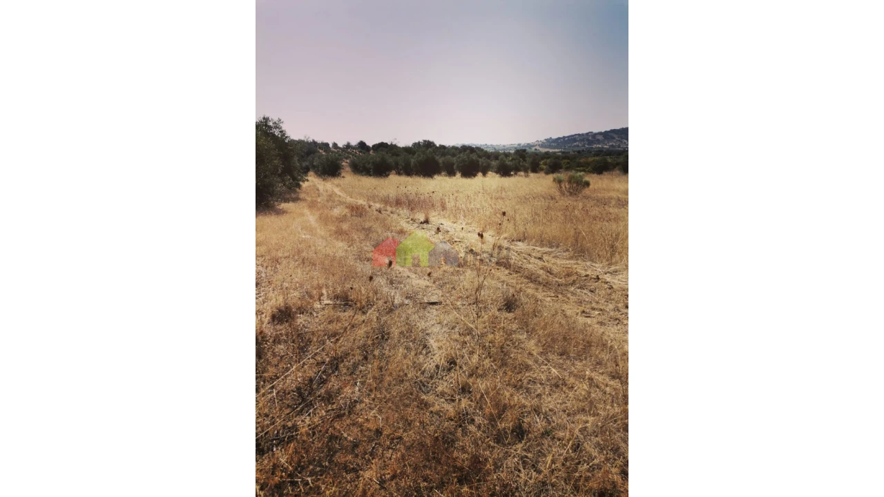 Terreno para Venda em Vila de Frades Foto 3