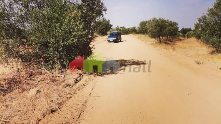Terreno para Venda em Vila de Frades