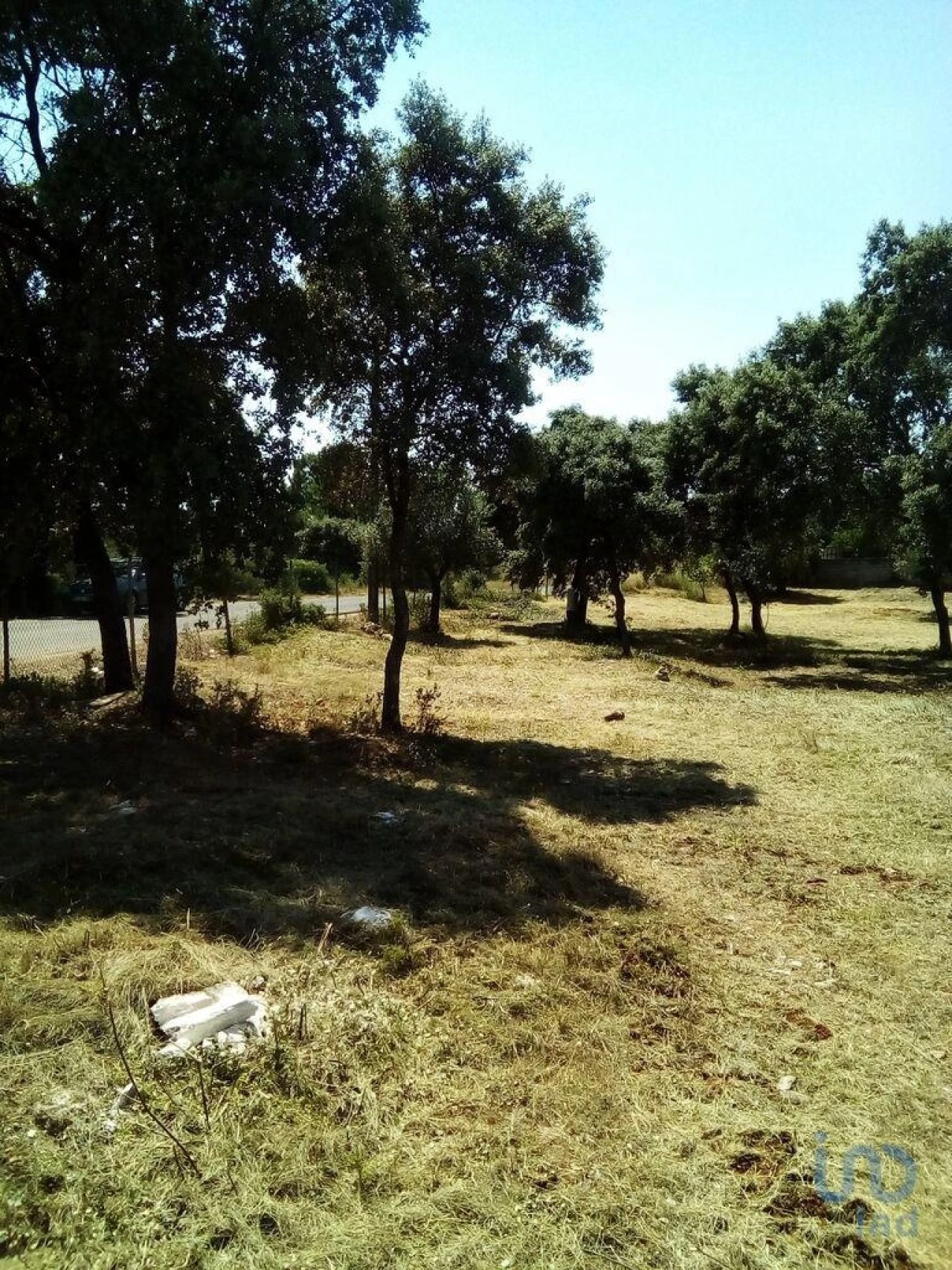 Terreno para Venda em Malhou, Louriceira e Espinheiro Foto 3