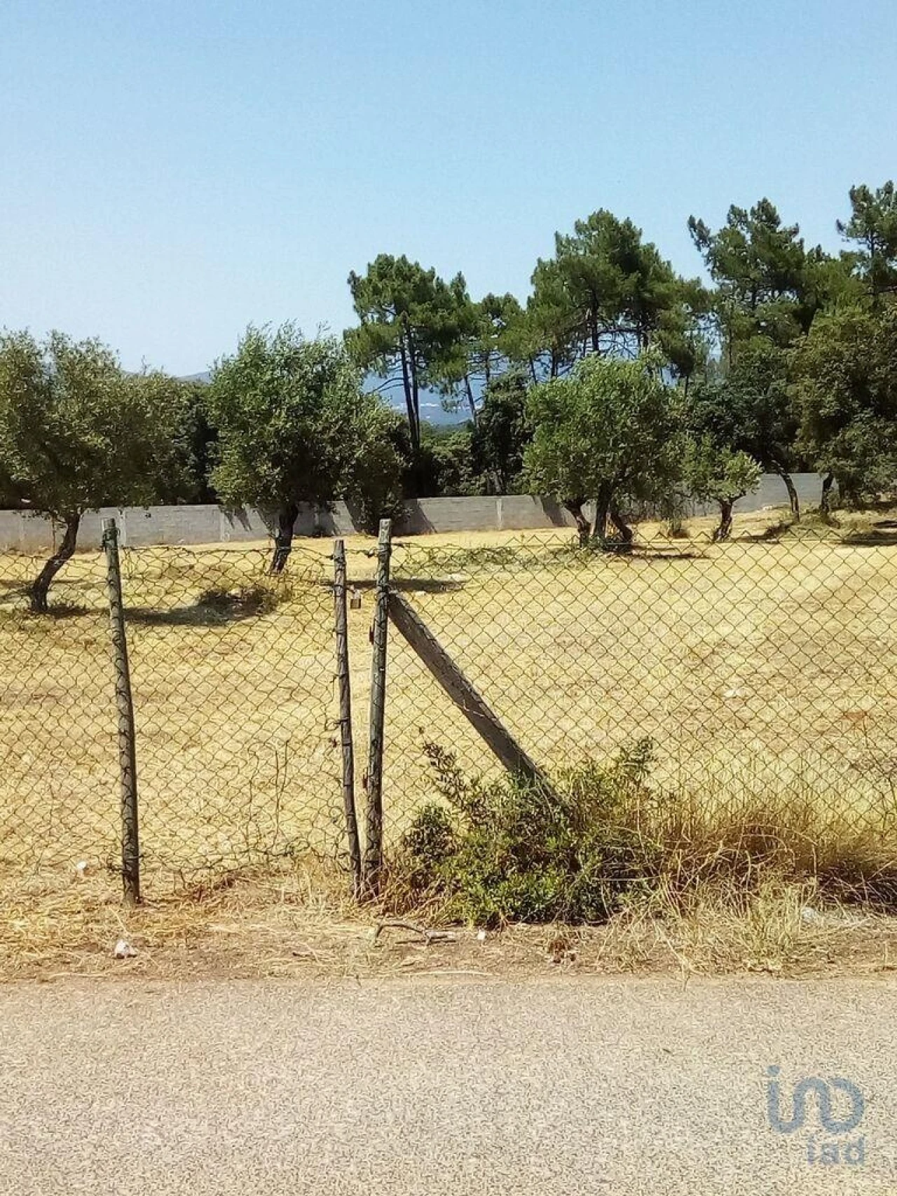 Terreno para Venda em Malhou, Louriceira e Espinheiro Foto 5