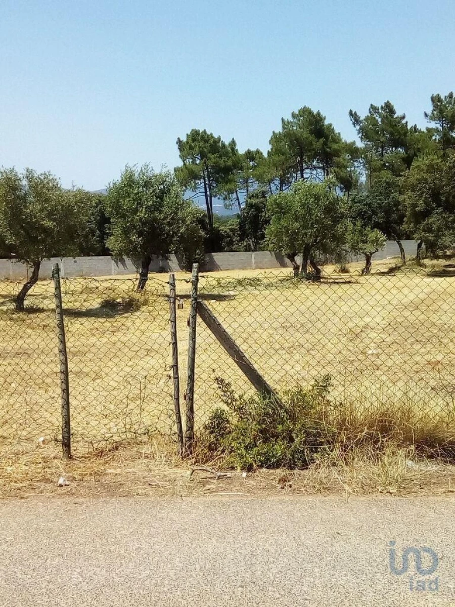 Terreno para Venda em Malhou, Louriceira e Espinheiro Foto 5