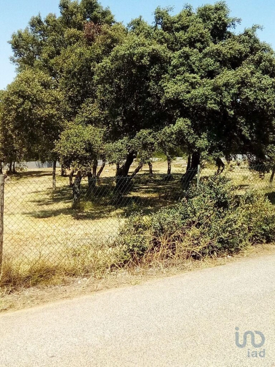 Terreno para Venda em Malhou, Louriceira e Espinheiro Foto 6