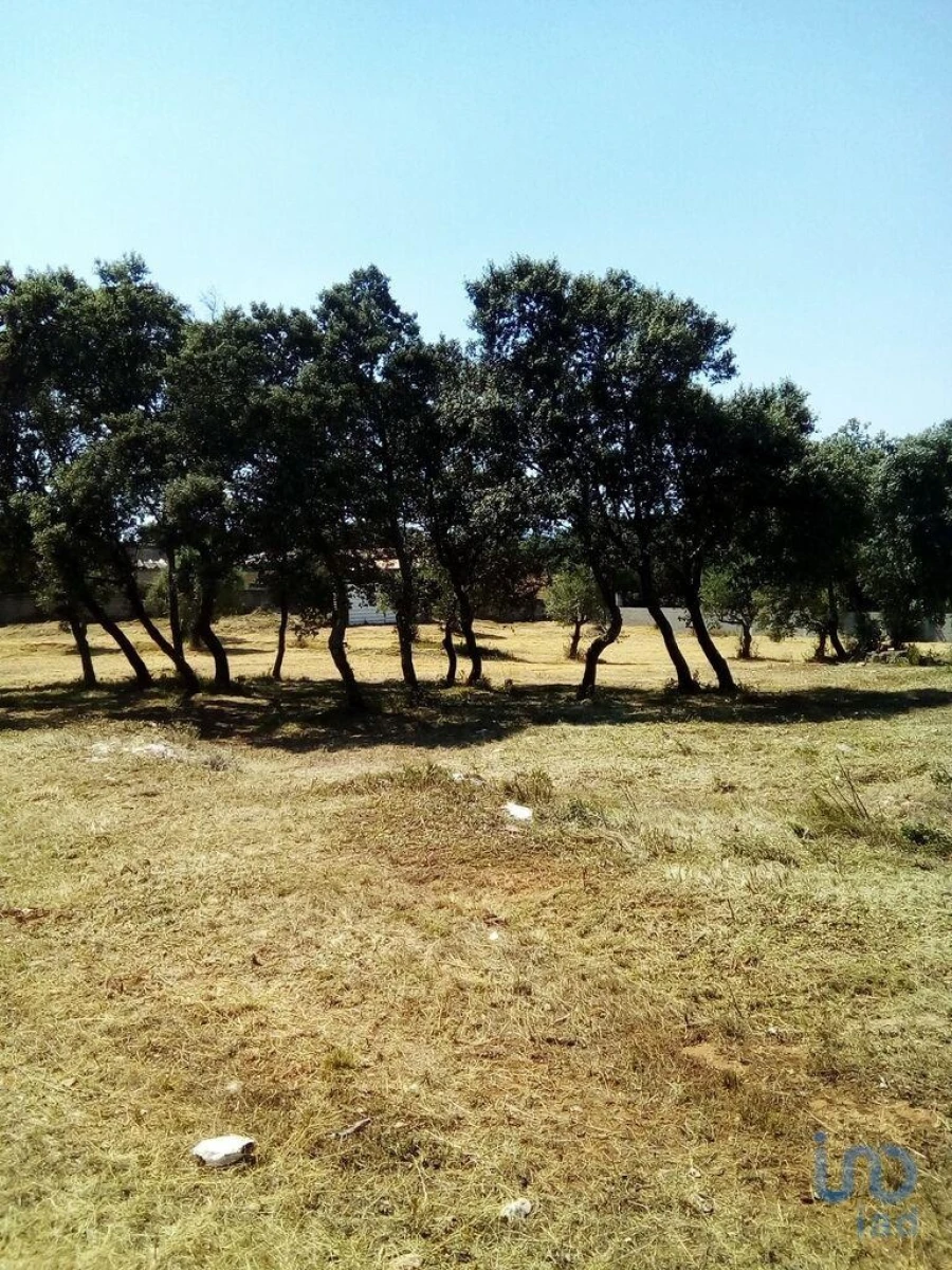 Terreno para Venda em Malhou, Louriceira e Espinheiro Foto 2