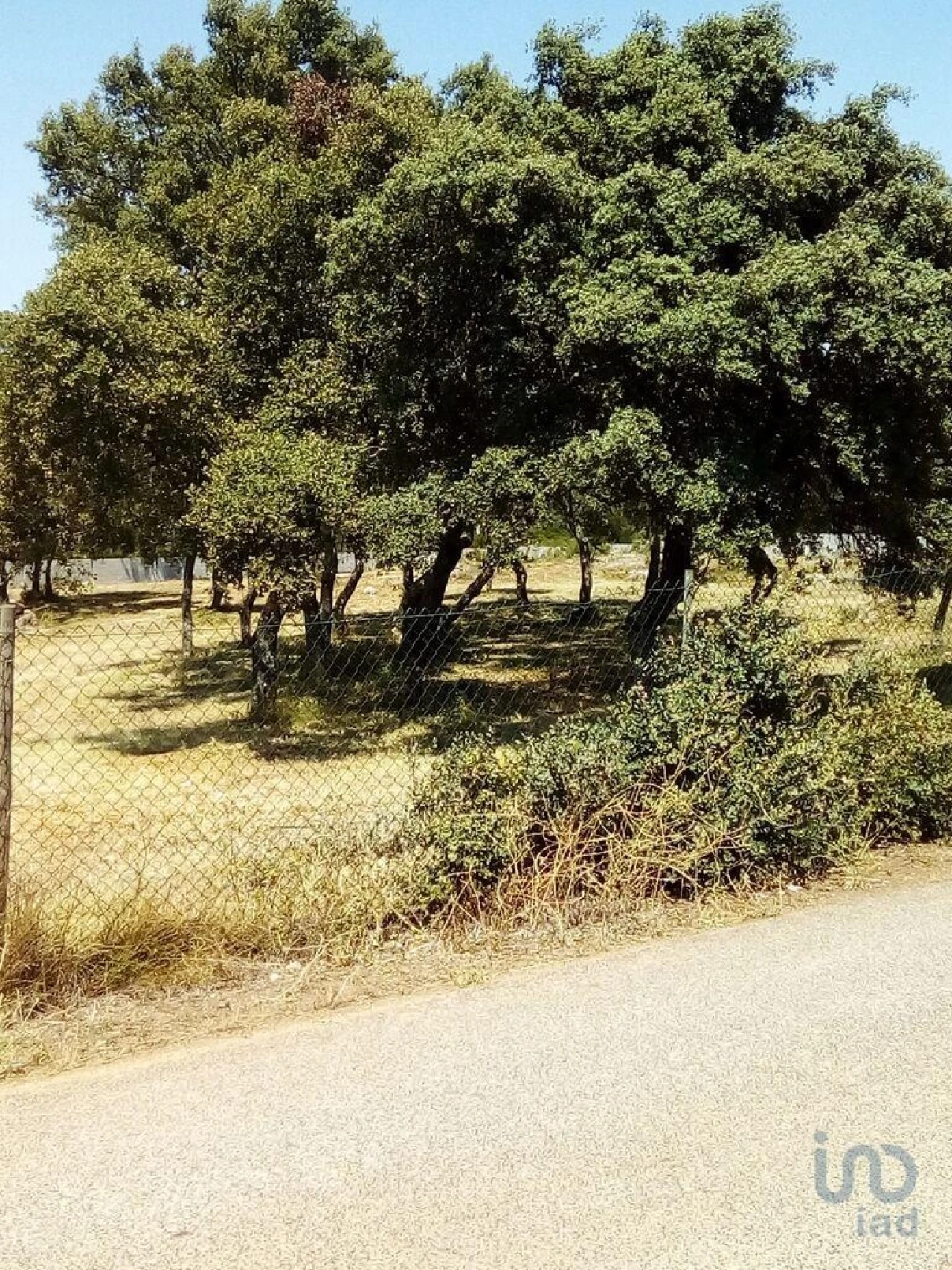 Terreno para Venda em Malhou, Louriceira e Espinheiro Foto 6