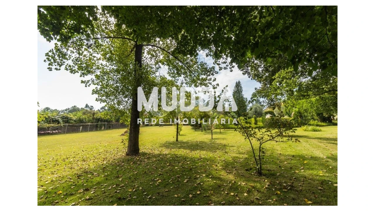 Moradia T4 para Venda em Nogueira do Cravo e Pindelo Foto 41