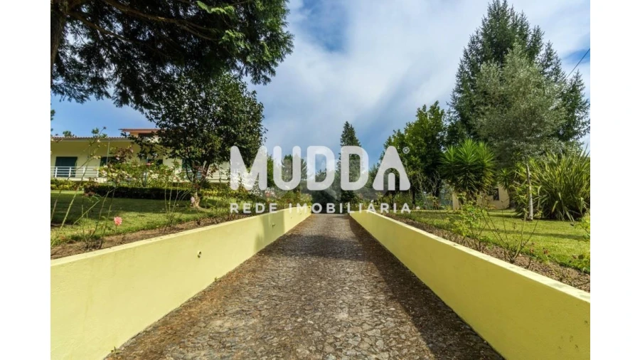 Moradia T4 para Venda em Nogueira do Cravo e Pindelo Foto 49