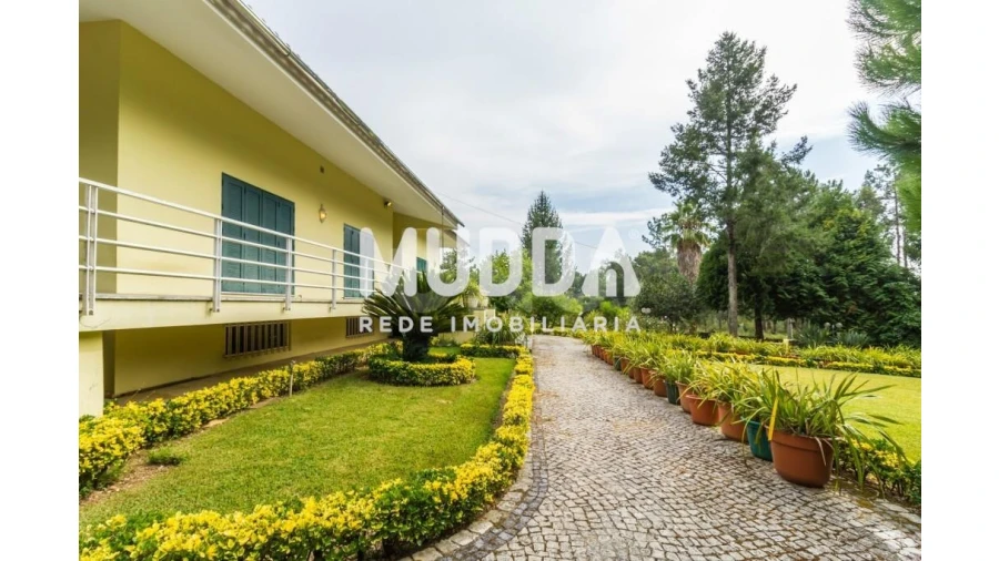 Moradia T4 para Venda em Nogueira do Cravo e Pindelo Foto 46