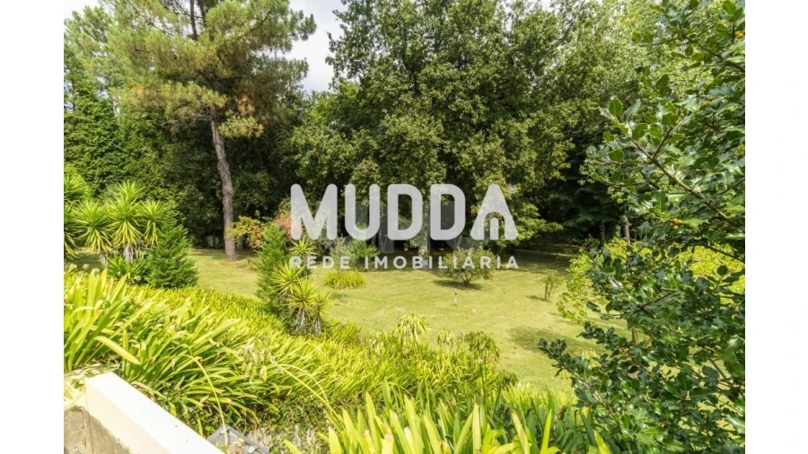 Moradia T4 para Venda em Nogueira do Cravo e Pindelo Foto 39