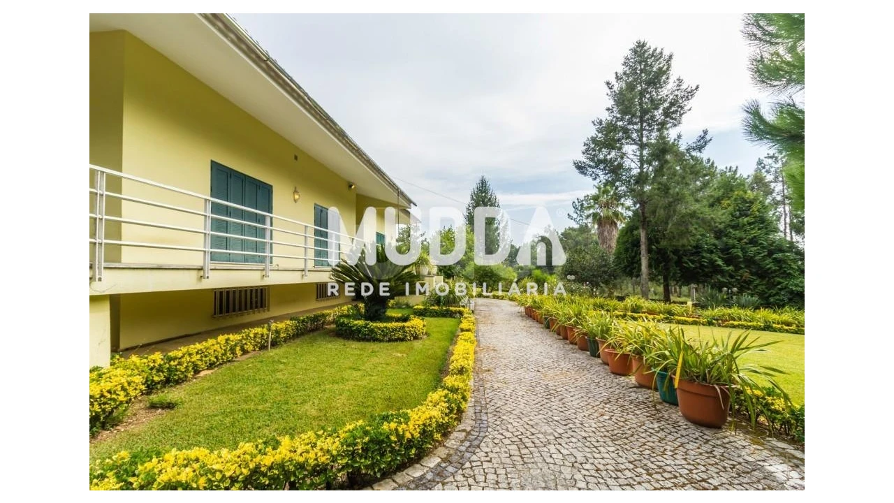 Moradia T4 para Venda em Nogueira do Cravo e Pindelo Foto 46