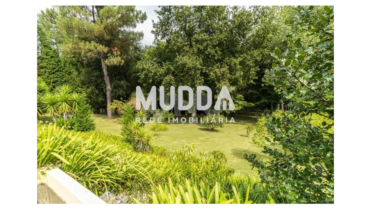 Moradia T4 para Venda em Nogueira do Cravo e Pindelo Foto 39