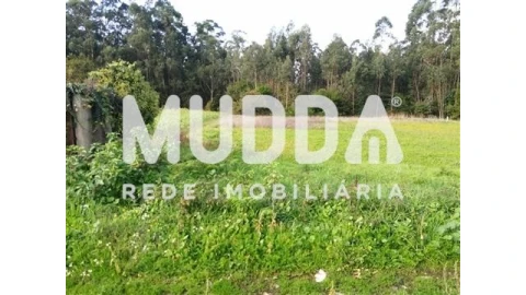 Terreno para Venda em Beduído e Veiros
