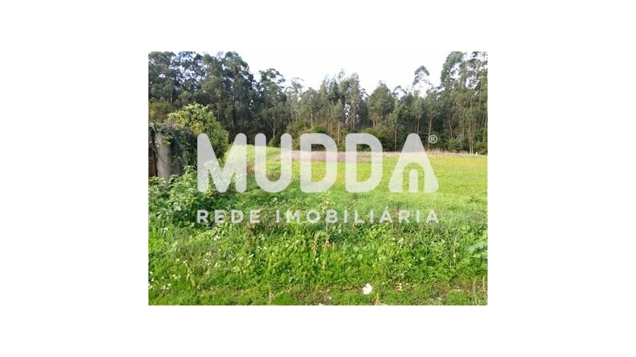 Terreno para Venda em Beduído e Veiros Foto 2