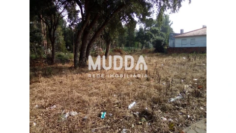 Terreno para Venda em Esmoriz