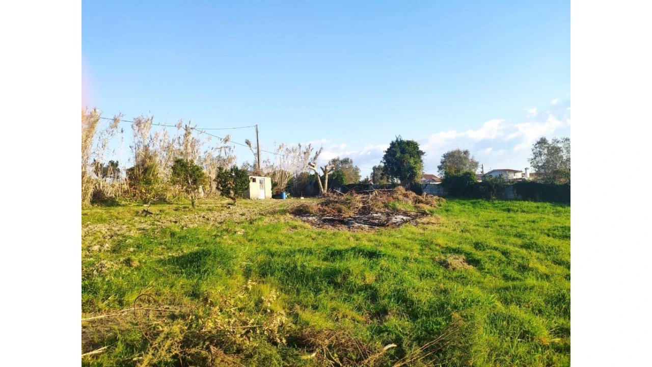 Terreno para Venda em Santa Clara e Castelo Viegas Foto 9