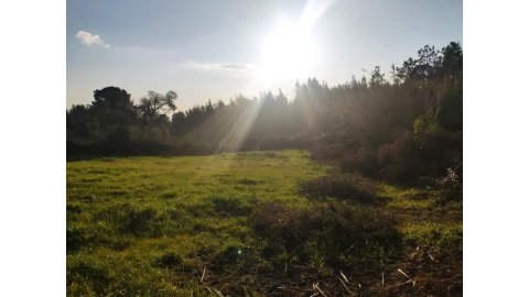 Terreno para Venda em Santa Clara e Castelo Viegas