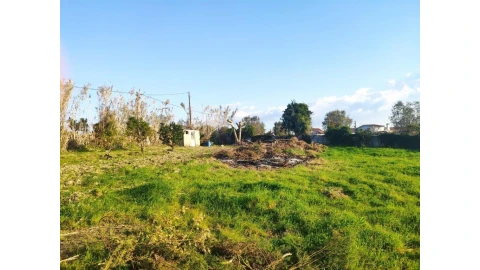 Terreno para Venda em Santa Clara e Castelo Viegas