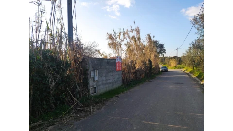 Terreno para Venda em Santa Clara e Castelo Viegas