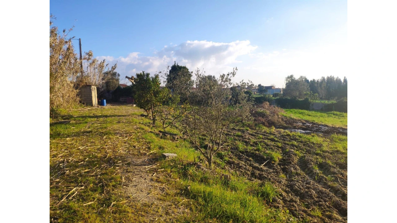 Terreno para Venda em Santa Clara e Castelo Viegas Foto 4