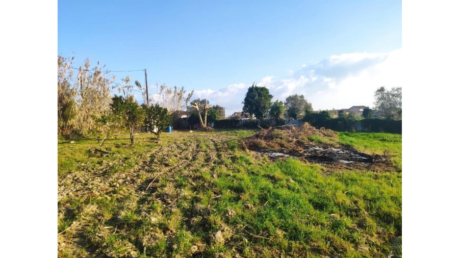 Terreno para Venda em Santa Clara e Castelo Viegas Foto 10