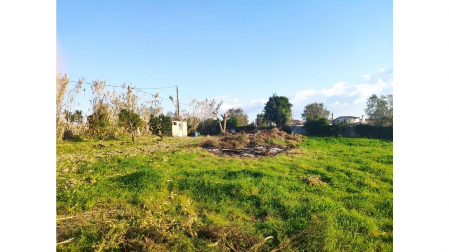 Terreno para Venda em Santa Clara e Castelo Viegas Foto 9