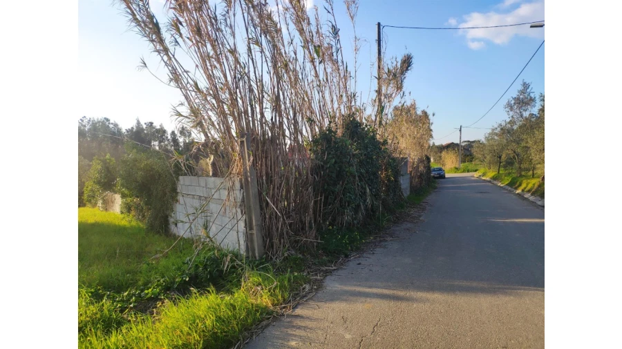 Terreno para Venda em Santa Clara e Castelo Viegas Foto 6