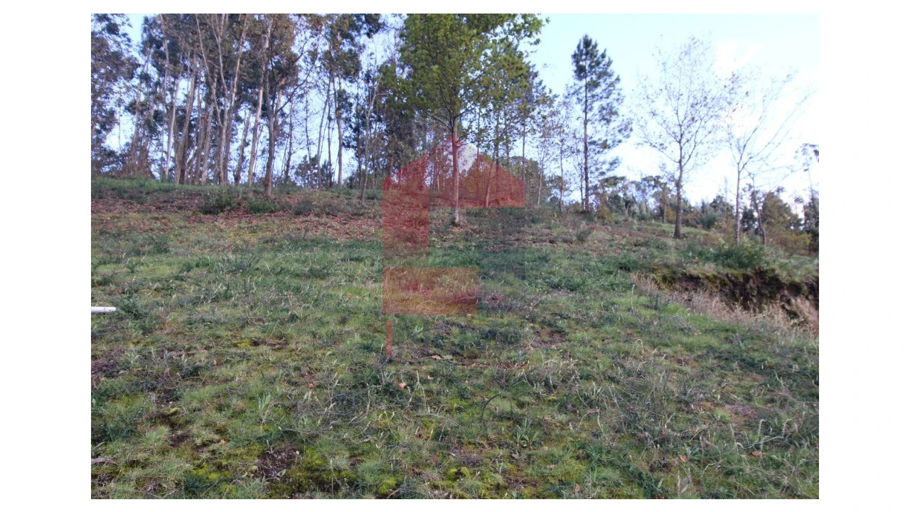 Terreno para Venda em Sande, Vilarinho, Barros e Gomide Foto 31