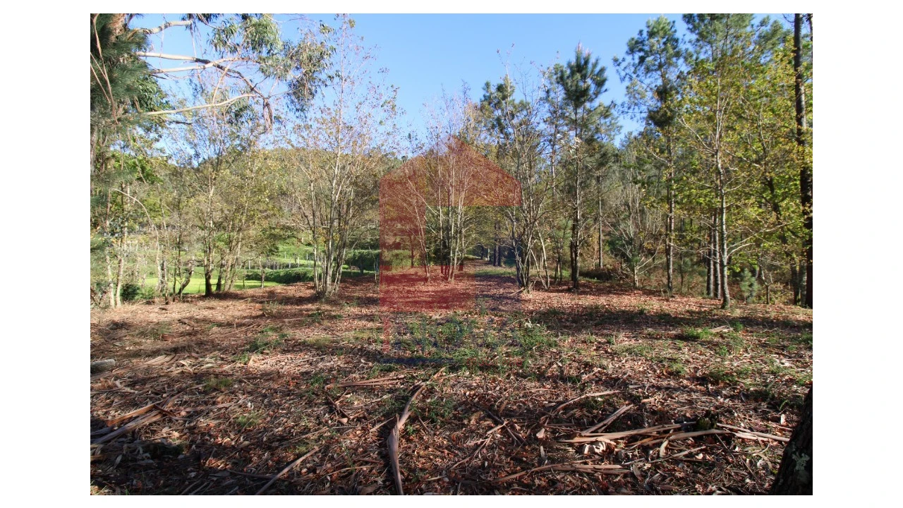 Terreno para Venda em Sande, Vilarinho, Barros e Gomide Foto 18