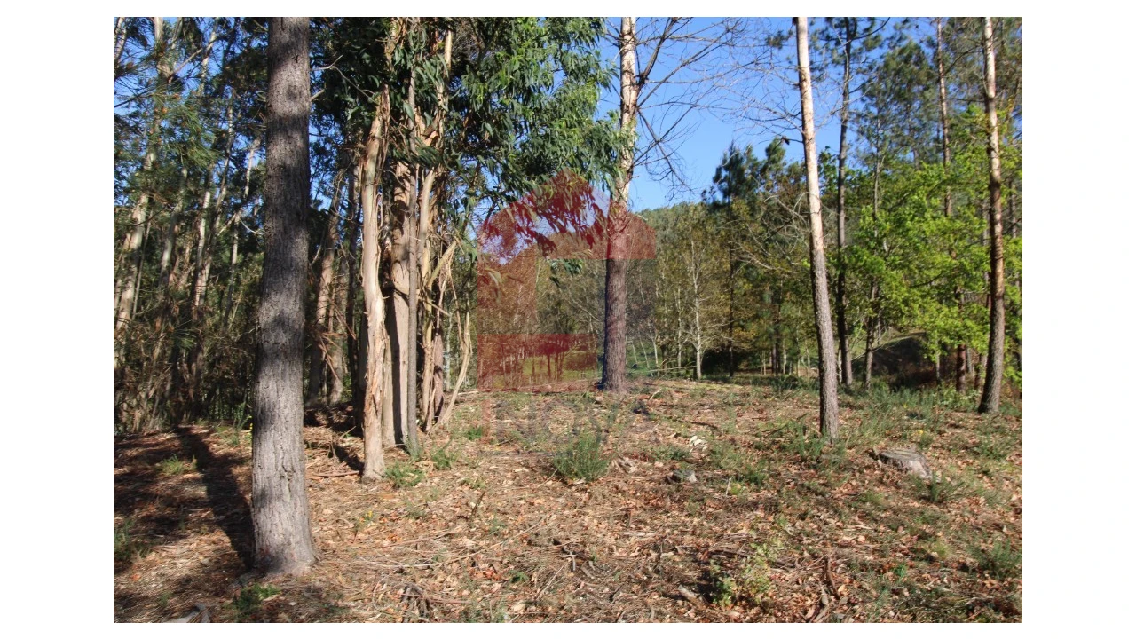 Terreno para Venda em Sande, Vilarinho, Barros e Gomide Foto 13