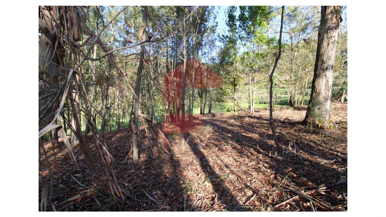 Terreno para Venda em Sande, Vilarinho, Barros e Gomide Foto 21