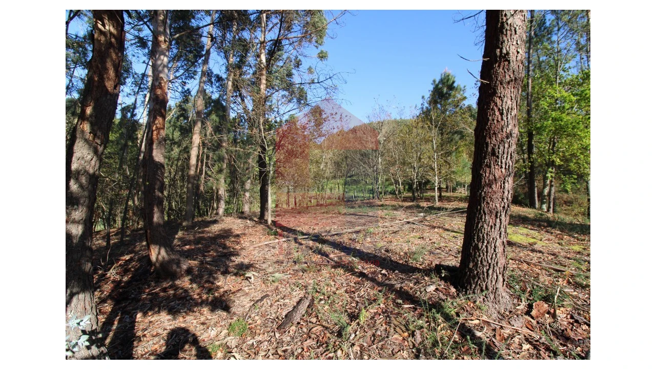 Terreno para Venda em Sande, Vilarinho, Barros e Gomide Foto 16