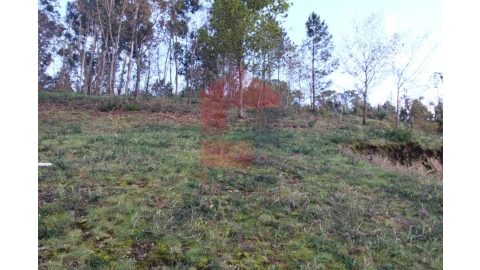 Terreno para Venda em Sande, Vilarinho, Barros e Gomide