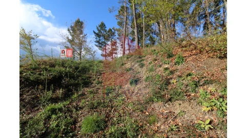 Terreno para Venda em Sande, Vilarinho, Barros e Gomide