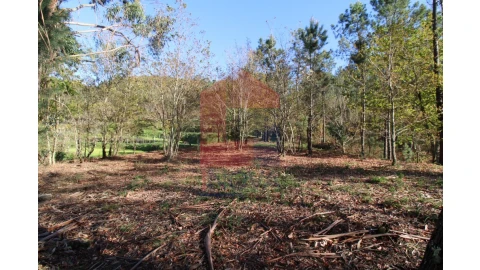 Terreno para Venda em Sande, Vilarinho, Barros e Gomide