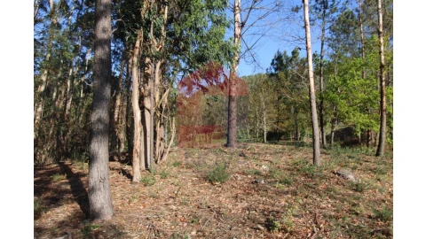 Terreno para Venda em Sande, Vilarinho, Barros e Gomide