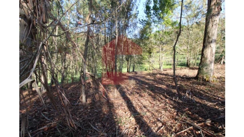 Terreno para Venda em Sande, Vilarinho, Barros e Gomide