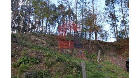 Terreno para Venda em Sande, Vilarinho, Barros e Gomide