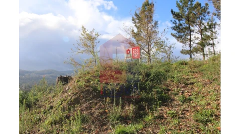Terreno para Venda em Sande, Vilarinho, Barros e Gomide