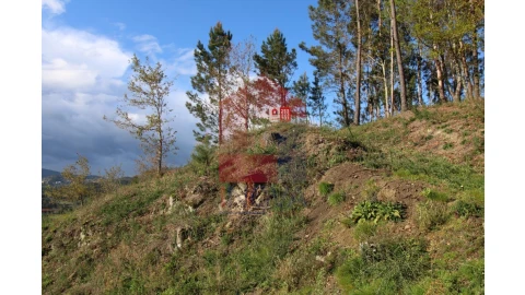 Terreno para Venda em Sande, Vilarinho, Barros e Gomide