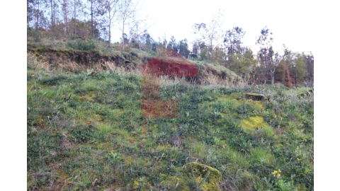 Terreno para Venda em Sande, Vilarinho, Barros e Gomide