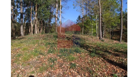 Terreno para Venda em Sande, Vilarinho, Barros e Gomide